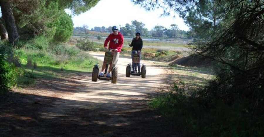 Faro: Ria Formosa Natural Park Segway Tour & Birdwatching - Price and value: is $66 per person fair for 1.5 hours?