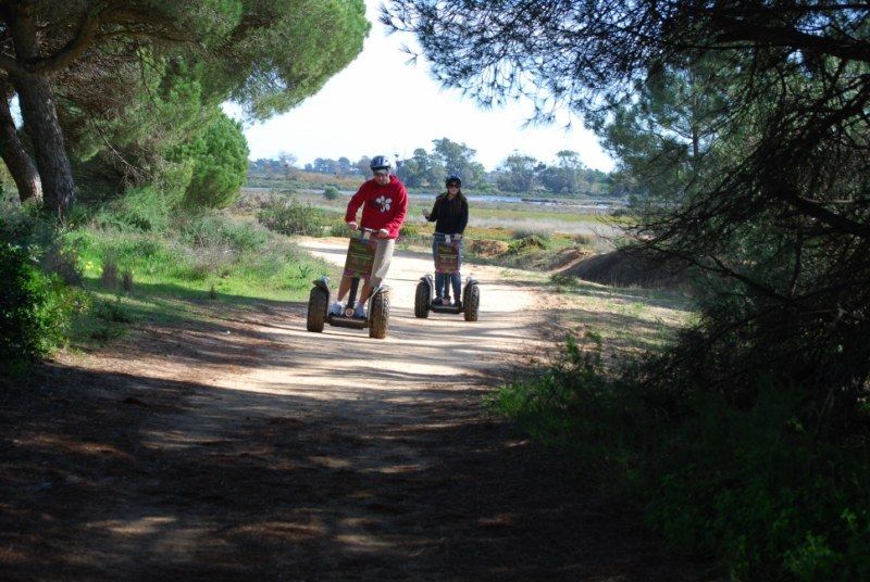 Faro: Ria Formosa Natural Park Segway Tour & Birdwatching - The real timing: pickup, practice, trails, then Ludo birdwatching