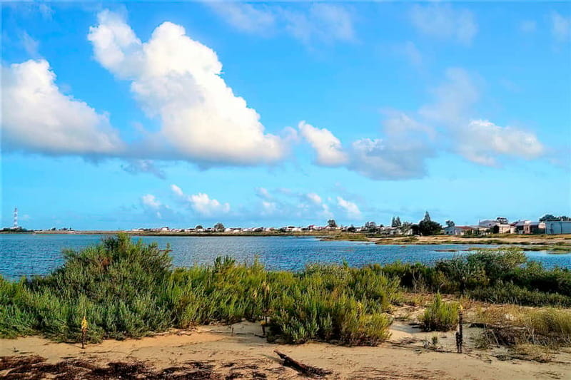Faro: Sunset 1 hour Ria Formosa Boat Tour - Should You Book This Faro Sunset 1-Hour Boat Tour?
