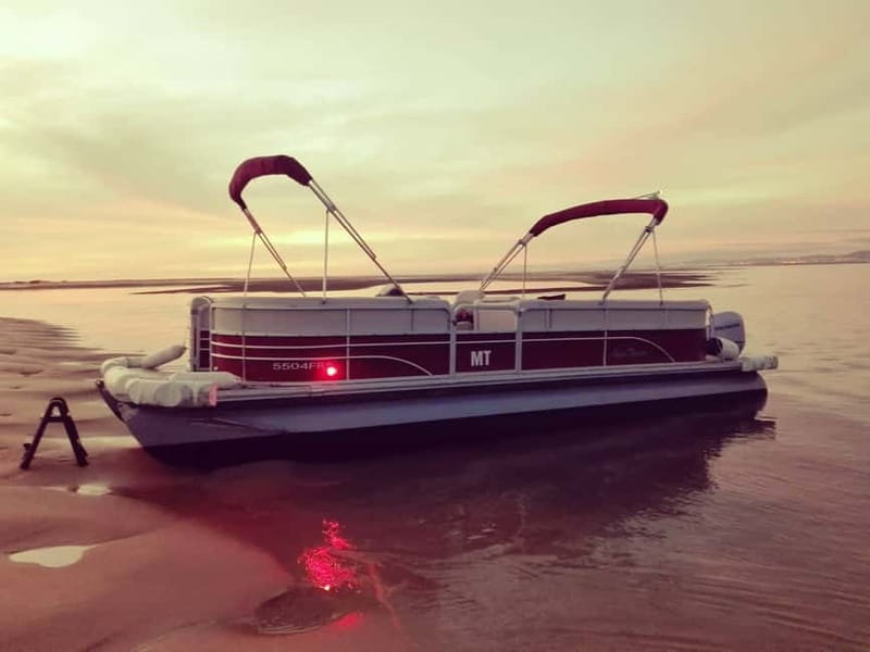 Faro: Sunset 1 hour Ria Formosa Boat Tour - The Catamaran Ride Through Ria Formosa Channels, When the Light Turns Good