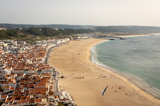 Fatima Sanctuary, Pena Palace & Nazare's Big Wave from Lisbon - Nazaré Big Waves: Ocean Views, Surf Energy, and a Real Break From the Temples