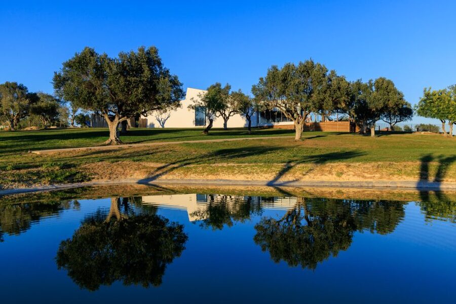 From Albufeira: 4x4 Off-Road Safari & Vineyard Wine Tasting - The Winery Stop: Tour, Cork Insights, and a Food-Friendly Tasting