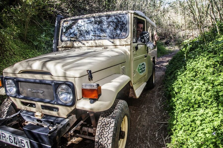 From Albufeira: Algarve Sunset Jeep Tour with Tastings - Key takeaways before you go