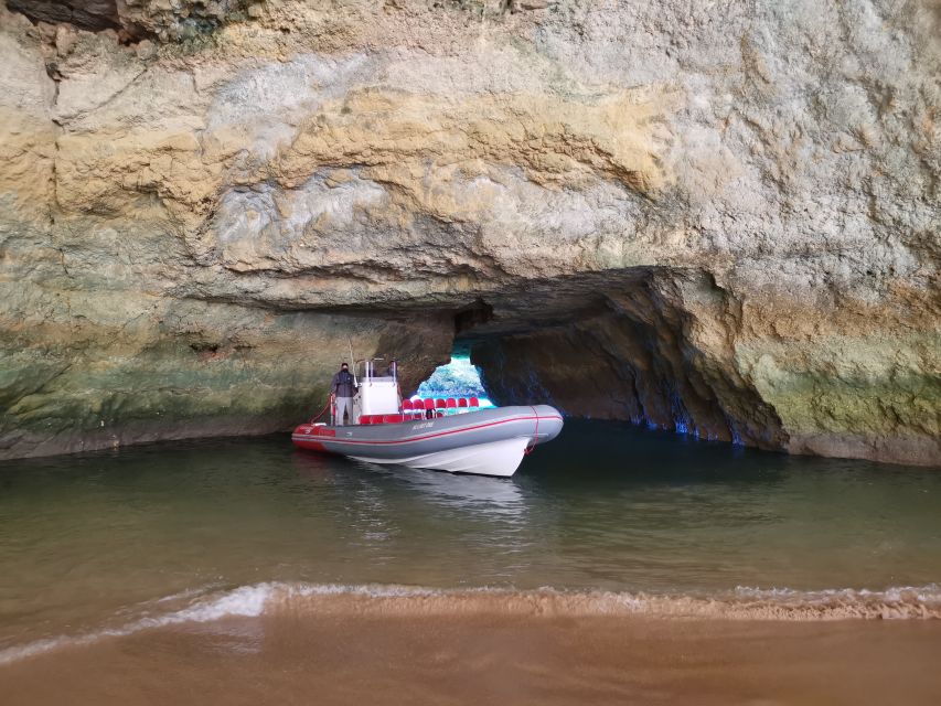 From Albufeira: Benagil Caves and Dolphins Guided Boat Tour - What Makes the Boat Tour Feel Different (and Better) Than a Bus Trip