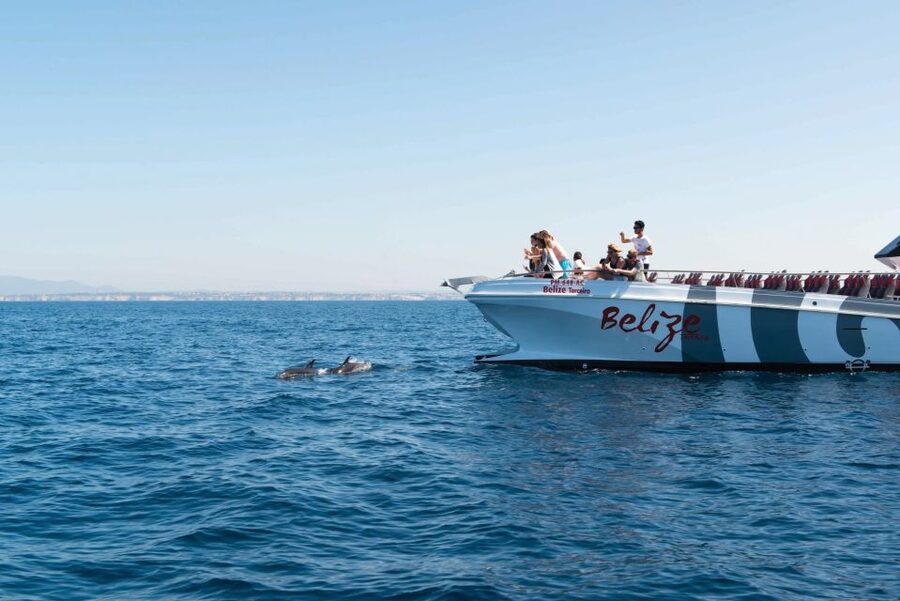 From Albufeira: Dolphins and Caves 2.5-Hour Boat Trip - The caves and rock formations: Benagil-style grottos from sea level