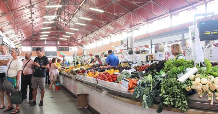 From Albufeira: Full-Day Tour of Algarve Eastern's Finest - Price and value: is $76 fair for this day?