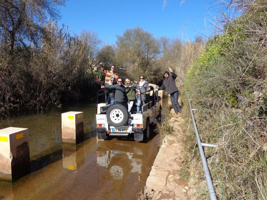 From Albufeira: Half-Day Algarve Jeep Safari - Key Highlights You Should Not Miss