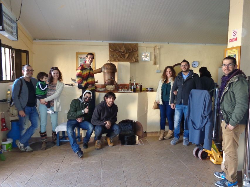 From Albufeira: Half-Day Algarve Jeep Safari - FAQ