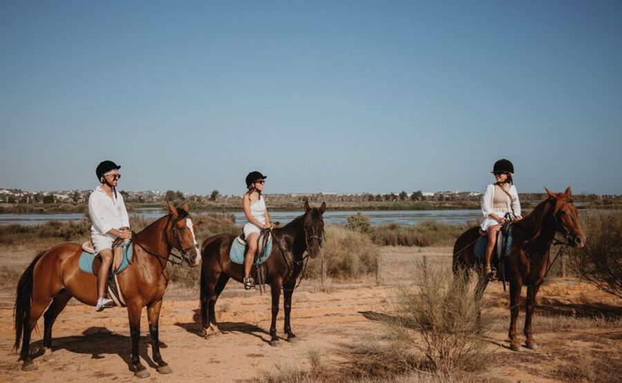 From Albufeira: Half-Day Hidden Gems & Horse Riding Tour - Van Stops Around Albufeira: Stories, Photo Breaks, and Real Viewpoints