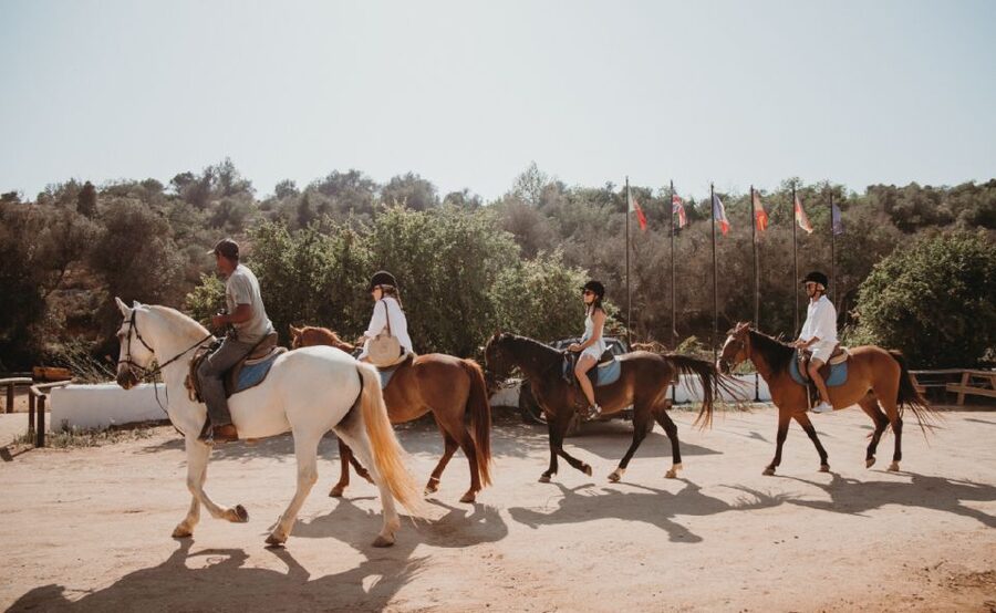 From Albufeira: Half-Day Hidden Gems & Horse Riding Tour - Price and Value: Is $106 Worth It for a Half-Day?