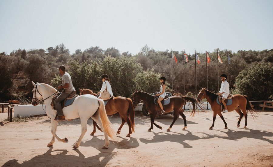 From Albufeira: Horse Riding Tour with Pickup - A 100-Minute Horse Ride With Big Panoramas Over Albufeira and the Lagoon
