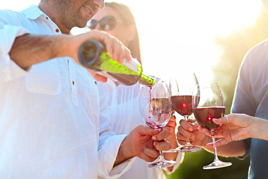 From Albufeira: Wine Tasting & Historic Silves Tour - Should you book this Albufeira Wine Tasting & Silves Tour?