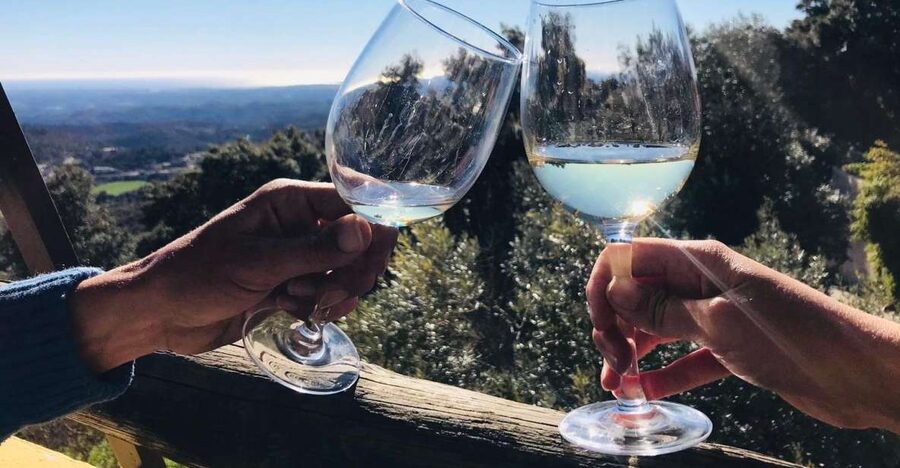 From Albufeira: Wine Tasting & Historic Silves Tour - Albufeira pickup to Silves: the drive that makes the day feel special