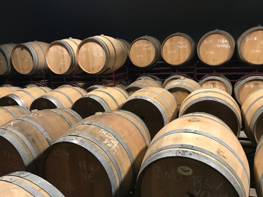 From Albufeira: Wine Tasting & Historic Silves Tour - Price and value: is $76 per person worth it?