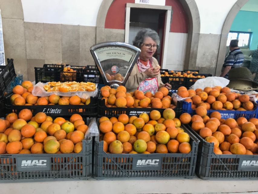 From Albufeira: Wine Tasting & Historic Silves Tour - Who this tour suits best (and who might want something longer)