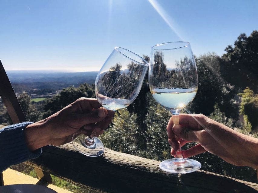 From Albufeira: Wine Tasting & Historic Silves Tour - Silves on your schedule: Moorish streets, red sandstone, and the castle walk