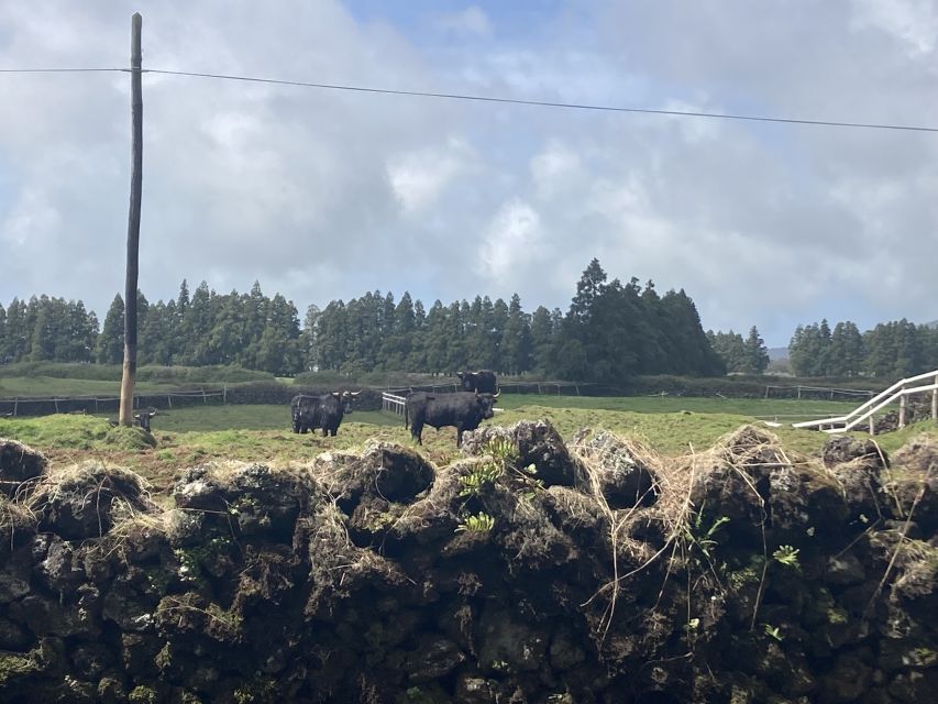 From Angra: Terceira Island Full-Day Tour - Praia da Vitória Free Time, Lunch on Your Terms
