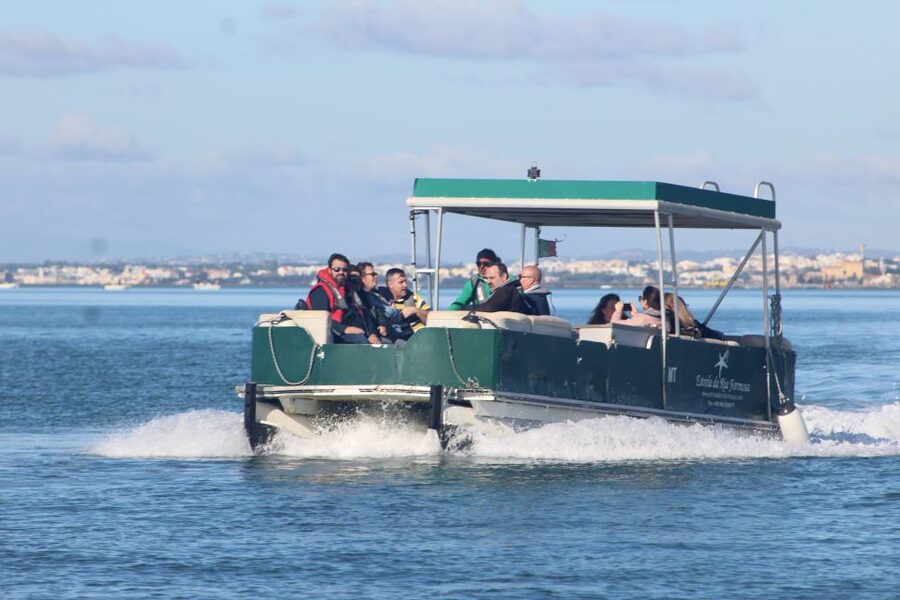 From Faro: 4 Stops, 3 Islands in Ria Formosa Catamaran Tour - Key highlights you should care about
