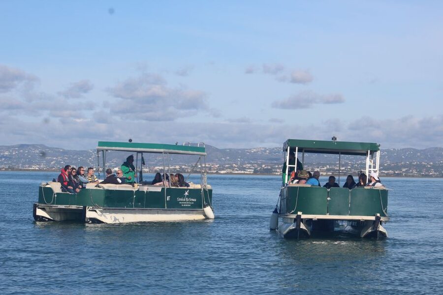 From Faro: 4 Stops, 3 Islands in Ria Formosa Catamaran Tour - Ria Formosa by catamaran: why this route works