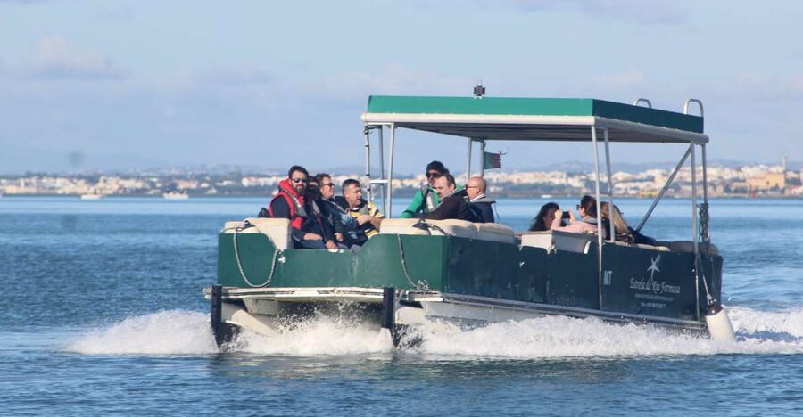 From Faro: 4 Stops, 3 Islands in Ria Formosa Catamaran Tour - Crossing the Ria Formosa channels: seabirds first, views second