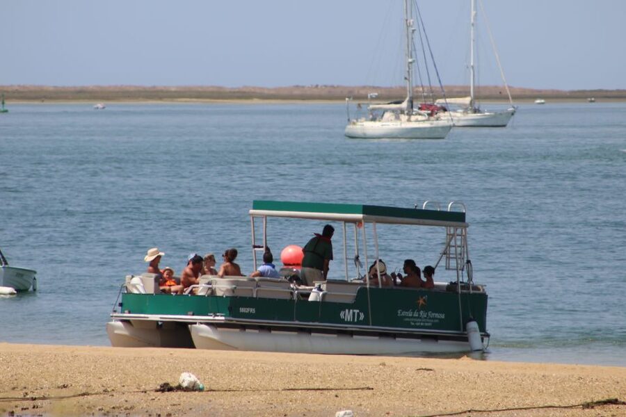 From Faro: 4 Stops, 3 Islands in Ria Formosa Catamaran Tour - Stop 1, Ilha Deserta: your best swimming and snorkel hour