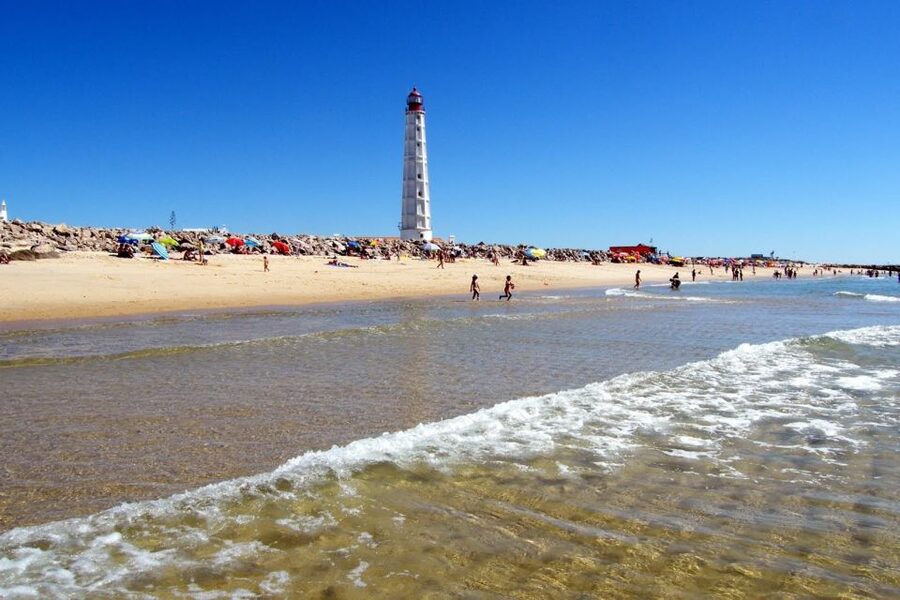 From Faro: 4 Stops, 3 Islands in Ria Formosa Catamaran Tour - Lunch on the island: fresh fish, seafood, and oyster reality