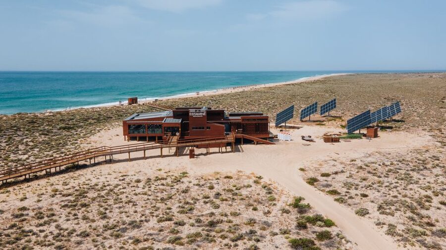 From Faro: Catamaran Boat Trip to Deserta Island with Stop - Why Ilha Deserta Feels Like a Portugal Reset Button
