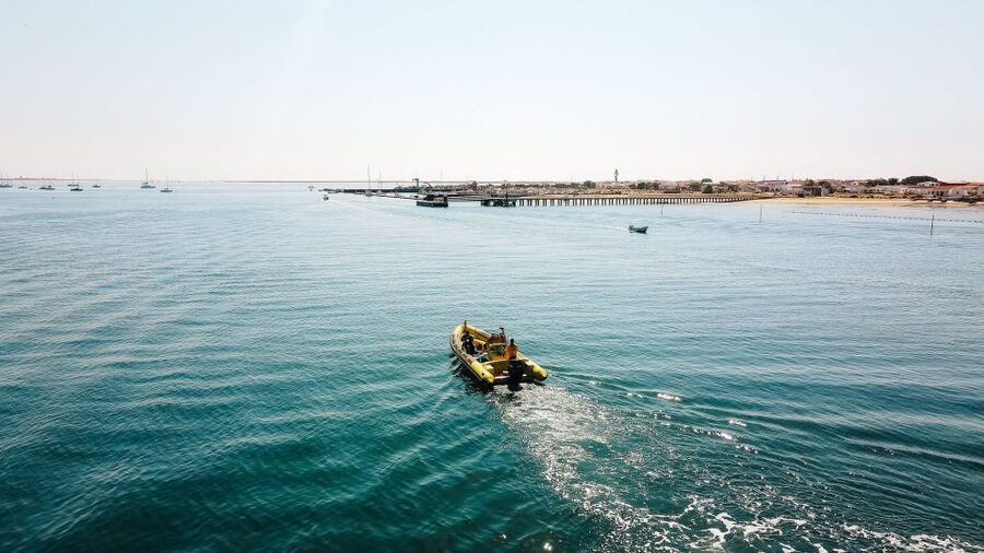 From Faro: Ria Formosa Hop-On Hop-Off 3 Islands Cruise - How the Faro Ria Formosa hop-on hop-off cruise really works