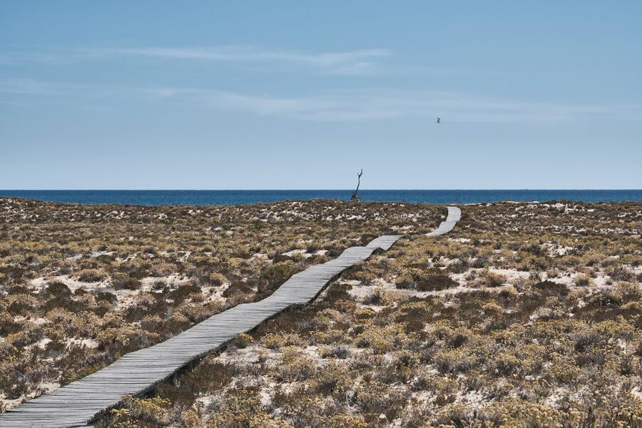 From Faro: Ria Formosa Hop-On Hop-Off 3 Islands Cruise - Should you book the Faro Ria Formosa hop-on hop-off cruise?