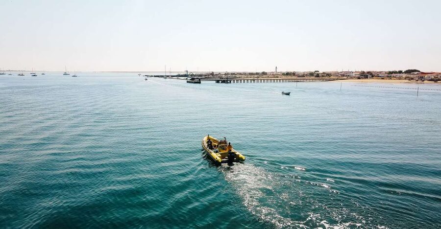 From Faro: Ria Formosa Hop-On Hop-Off 3 Islands Cruise - Desert Island: quiet beach time, wildlife, and a Cape walk