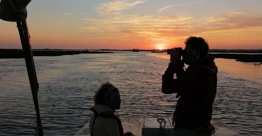 From Faro: Ria Formosa Sunset Boat Trip - Why This Ria Formosa Sunset Cruise Works So Well