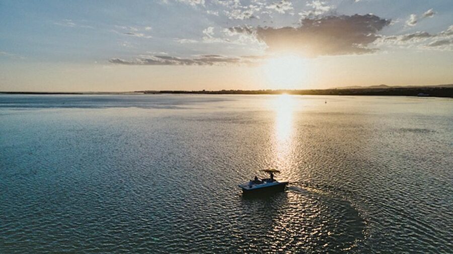 From Faro: Ria Formosa Sunset Boat Trip - Ria Formosa Wildlife: Birds, Dolphins, and Seahorse Stories