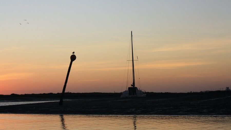 From Faro: Ria Formosa Sunset Boat Trip - Price and Value: Is $35 Actually Fair?