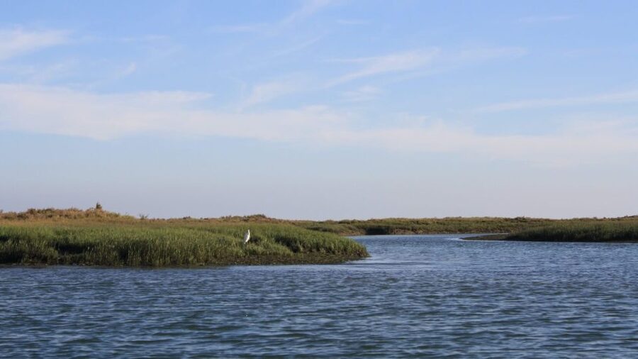 From Faro: Ria Formosa Sunset Boat Trip - Guides Make It Feel Personal, From Diogo to Pedro