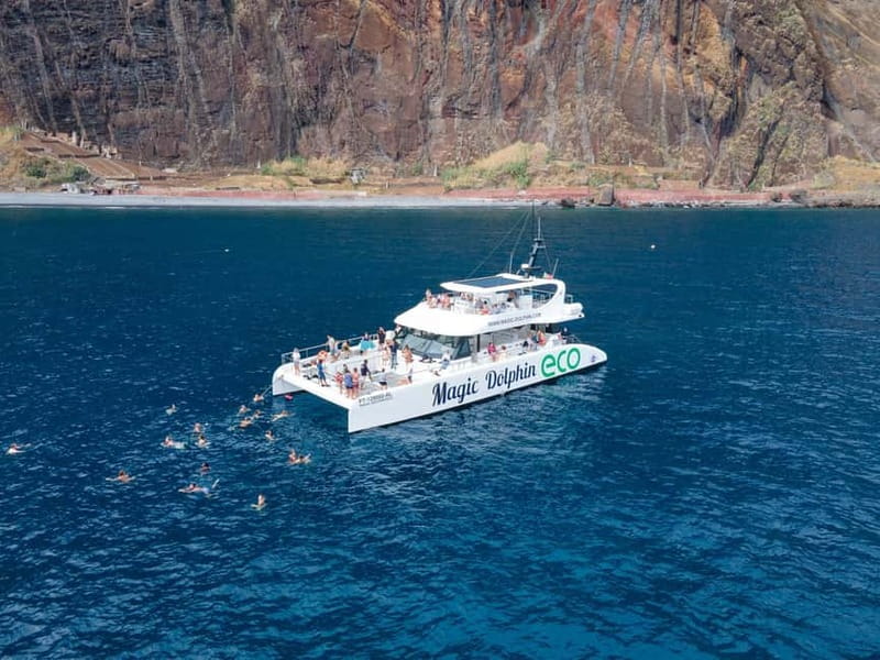 From Funchal: Ecological Catamaran Dolphin Whale Watching - Who this tour fits best, and who should rethink it