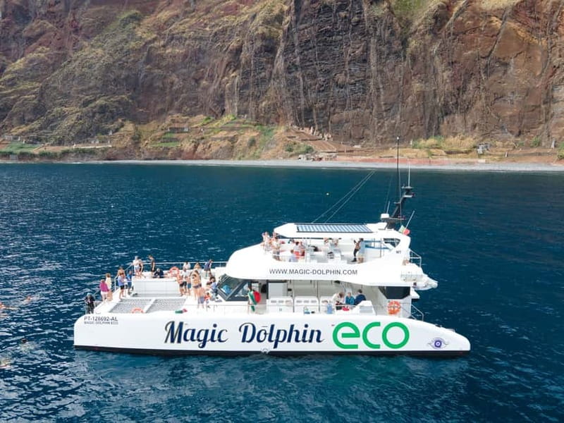 From Funchal: Ecological Catamaran Dolphin Whale Watching - Quick highlights worth your attention
