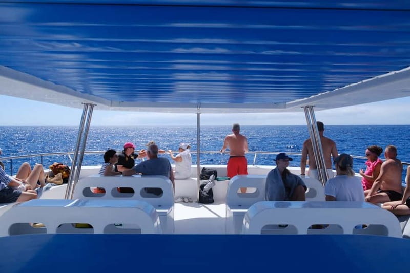 From Funchal: Ecological Catamaran Dolphin Whale Watching - The viewing setup: decks, nets, and side-by-side spotting