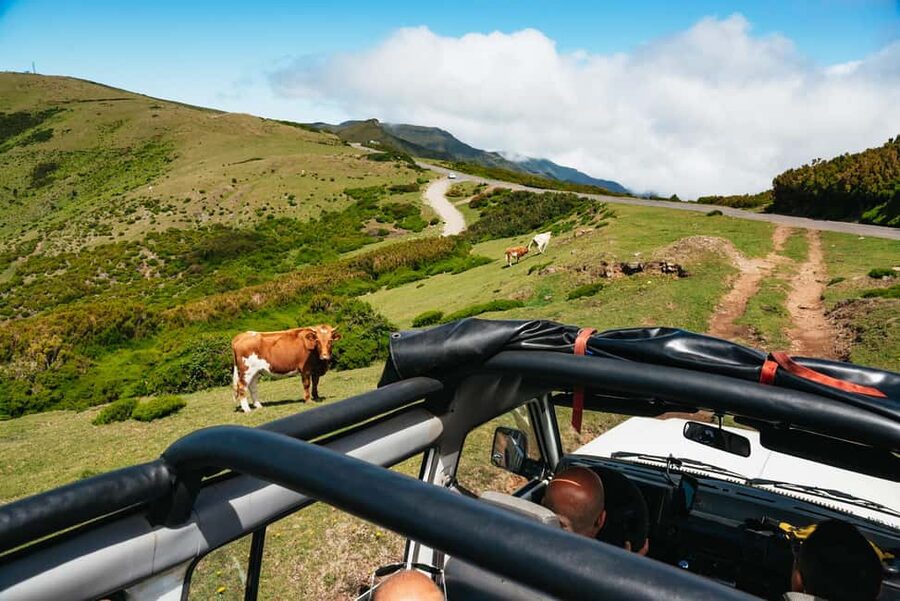 From Funchal: Fanal, Porto Moniz and Seixal Day Jeep Tour - Comfort, Transfers, and Who Should Skip This Jeep Day