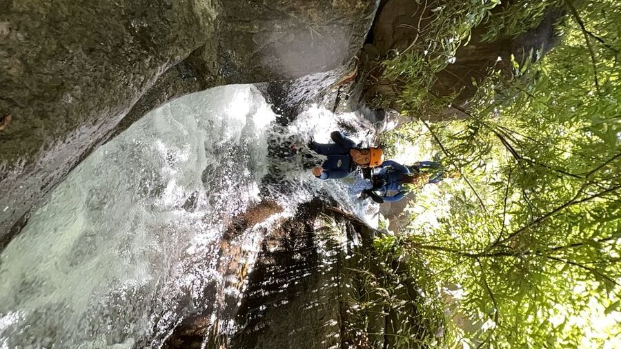 From Funchal: Intermediate Canyoning Adventure (Level 2) - Price and Value: Why $94 Can Make Sense Here