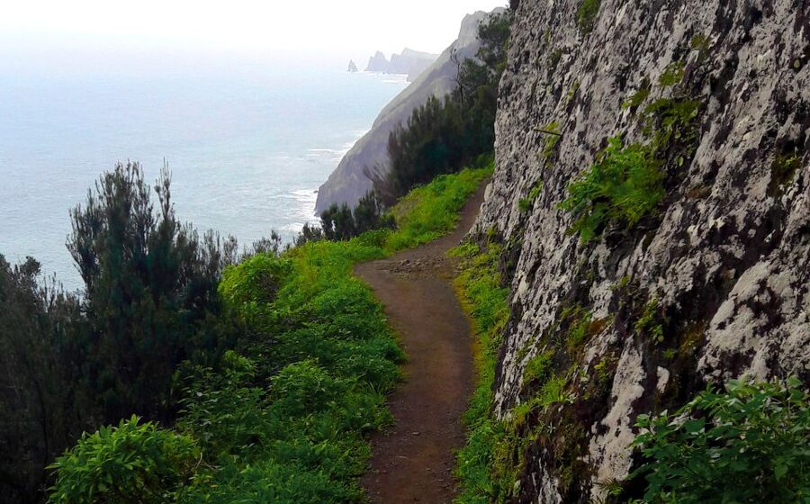 From Funchal: Machico to Porto da Cruz Larano Cliff Hike - Why the Machico to Porto da Cruz Route Feels Like Two Coasts in One Day