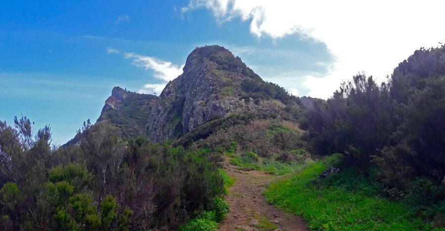 From Funchal: Machico to Porto da Cruz Larano Cliff Hike - Timing, Distance, and What 9:00 AM to 5:00 PM Really Means