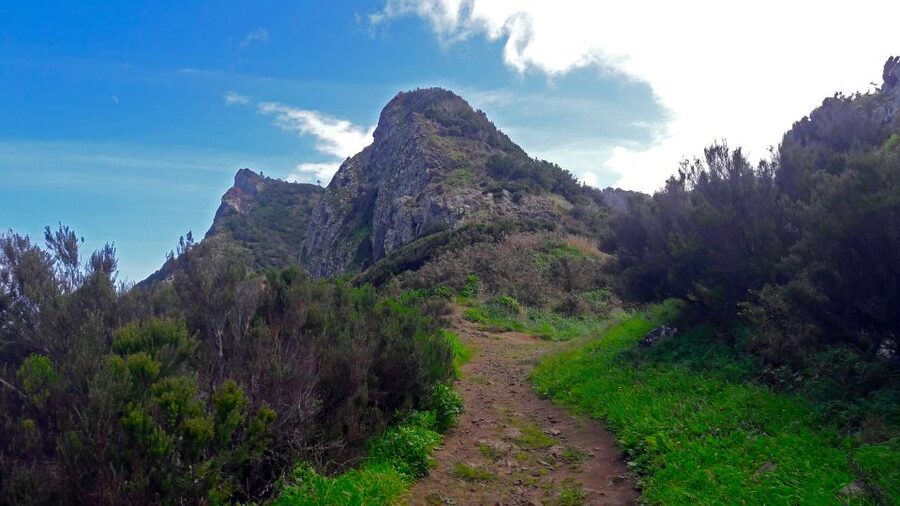 From Funchal: Machico to Porto da Cruz Larano Cliff Hike - Walking Out of Machico: Farms, Levadas, and Warming Up