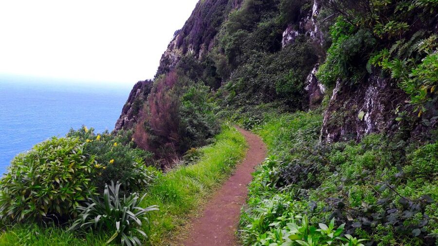 From Funchal: Machico to Porto da Cruz Larano Cliff Hike - The Larano Cliff Section: Exposed Views, Narrow Footing, and Safety