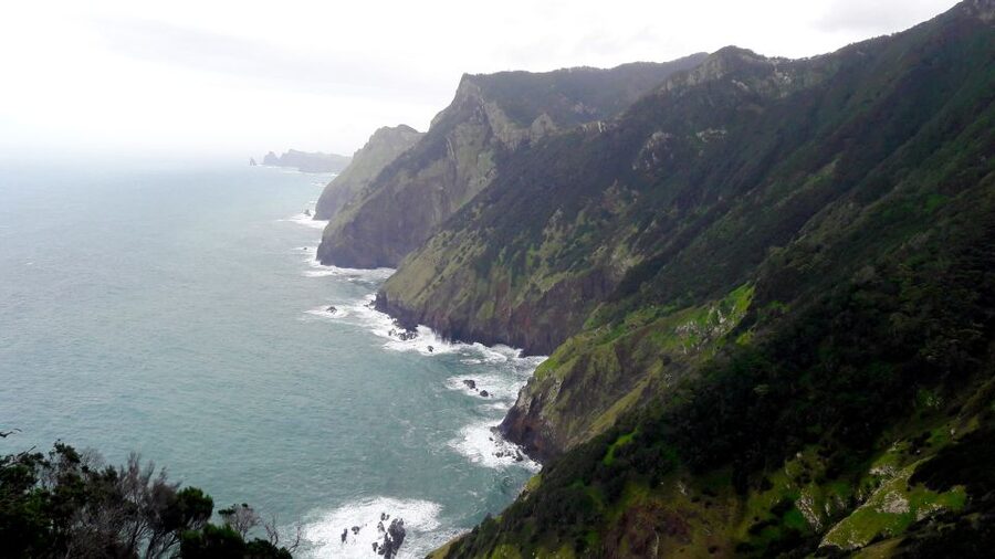 From Funchal: Machico to Porto da Cruz Larano Cliff Hike - Porto da Cruz: Lunch Break Energy and the Return to Funchal