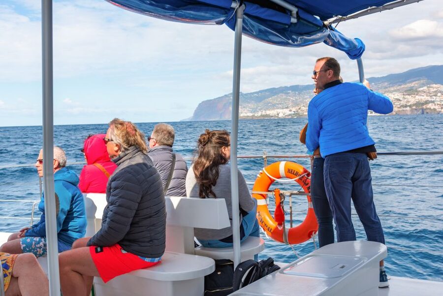 From Funchal: Madeira Dolphin and Whale Watching Tour - Should you book the Madeira Dolphin and Whale Watching Tour?