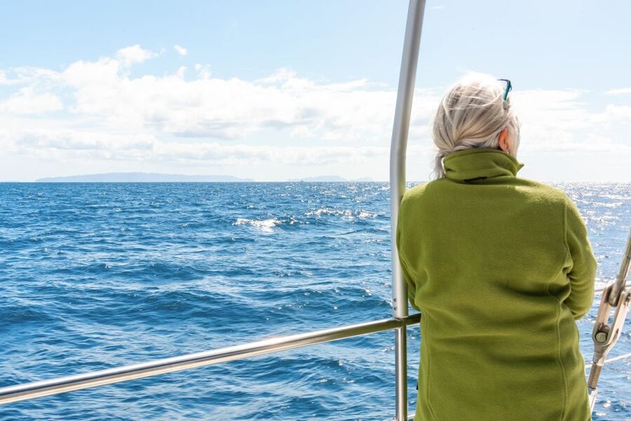 From Funchal: Madeira Dolphin and Whale Watching Tour - How the cetacean search works, and how to get the most out of it