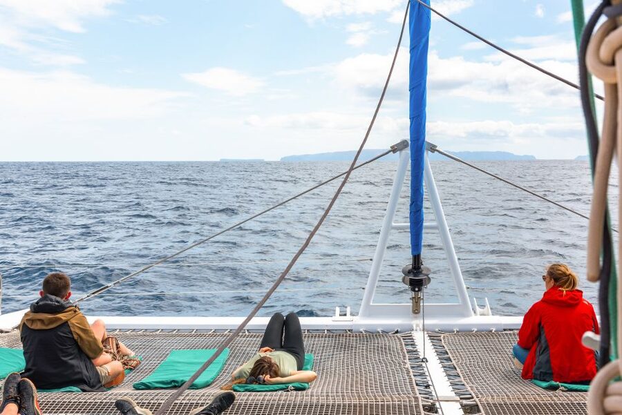 From Funchal: Madeira Dolphin and Whale Watching Tour - What to expect during the Cabo Girão stop: swimming, snorkeling, and sea views