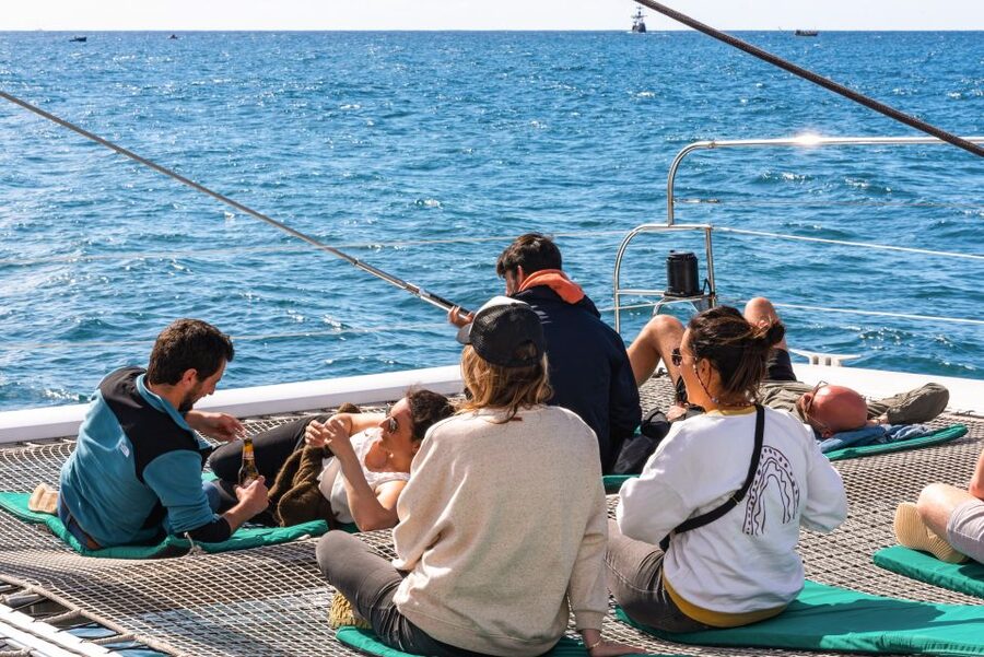 From Funchal: Madeira Dolphin and Whale Watching Tour - Season and weather: the part you can’t control, but you can plan for