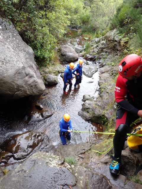 From Funchal: Madeira Island Canyoning for Beginners - Price and value: why $82 can make sense for a 4-hour adrenaline lesson