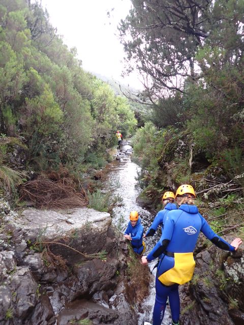 From Funchal: Madeira Island Canyoning for Beginners - Who should book, and who should skip this beginner canyoning day